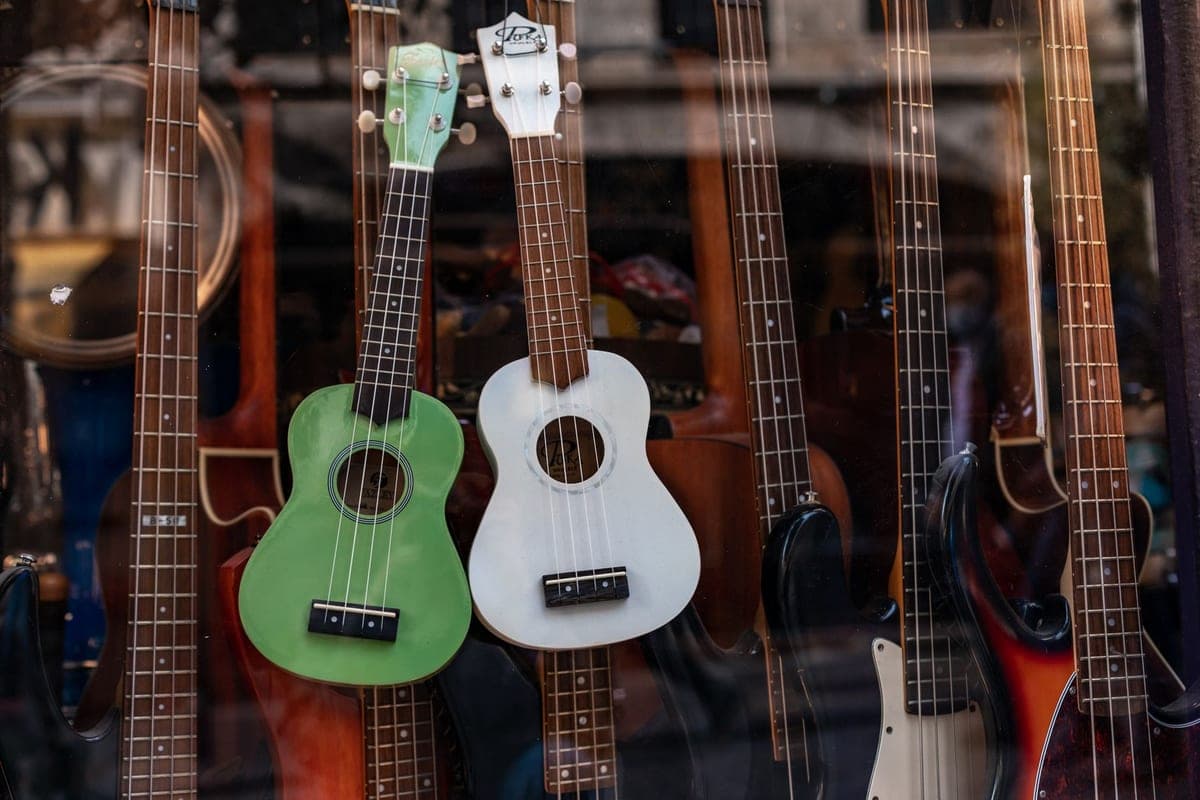 Instruments displayed on the wall of a music store
